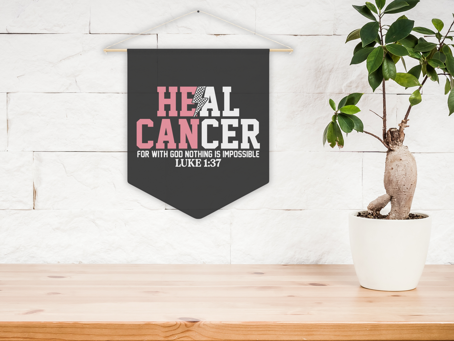 Decorative banner with 'HEAL CANCER' text hanging on a wall next to a potted plant.